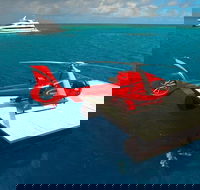 2-Day Best of Cairns and the Great Barrier Reef - St Kilda Accommodation