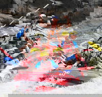 Barron Gorge National Park Half-Day White Water Rafting from Cairns or Port Douglas - St Kilda Accommodation