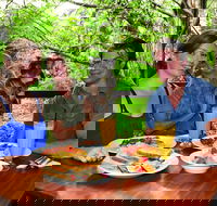 Breakfast with the Koalas at Hartley's Crocodile Park from Cairns or Palm Cove - St Kilda Accommodation