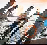 Cairns Luxury Catamaran Harbor and Dinner Cruise - St Kilda Accommodation