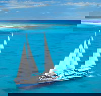 Ocean Spirit Michaelmas Cay Dive and Snorkel Cruise from Cairns - St Kilda Accommodation