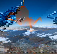 Reef and Rainforest Tandem Sky Dive in Cairns - St Kilda Accommodation