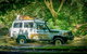 Full Day Rainforest 4WD Tour From Cairns - thumb 0