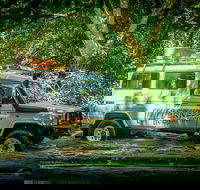 Full Day Rainforest 4WD Tour from Cairns - St Kilda Accommodation