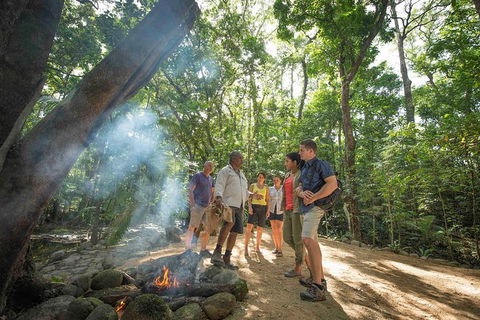 Aboriginal Cultural Daintree Rainforest Tour From Cairns Or Port Douglas - St Kilda Accommodation 3