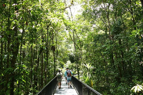Aboriginal Cultural Daintree Rainforest Tour From Cairns Or Port Douglas - St Kilda Accommodation 4