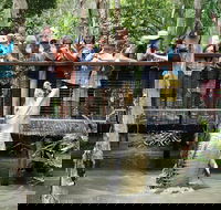 Hartley's Crocodile Adventure Half-Day Tour - St Kilda Accommodation