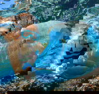 Cairns 2-Day Combo Great Barrier Reef Cruise and Kuranda - St Kilda Accommodation