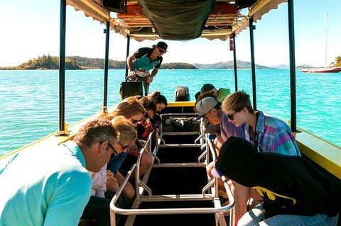 Airlie Beach Glass Bottom Boat Tour - St Kilda Accommodation 5