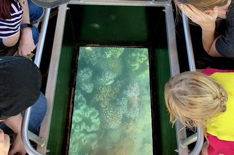 Airlie Beach Glass Bottom Boat Tour - St Kilda Accommodation 10
