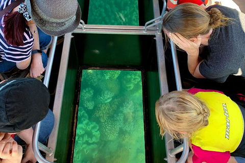 Airlie Beach Glass Bottom Boat Tour - St Kilda Accommodation 11