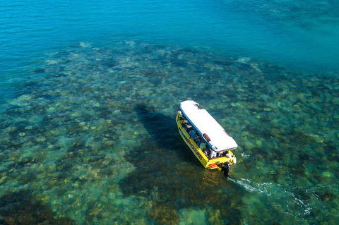 Airlie Beach Glass Bottom Boat Tour - St Kilda Accommodation 9
