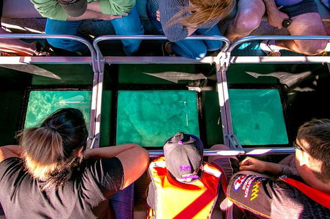 Airlie Beach Glass Bottom Boat Tour - St Kilda Accommodation 4