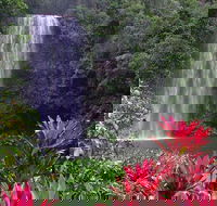 The Original Day Tour to Paronella Park Lake Barrine and Millaa Millaa Falls - St Kilda Accommodation