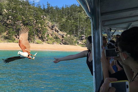Aquascene Magnetic Island Discovery Tour - St Kilda Accommodation 2