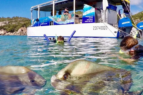 Aquascene Magnetic Island Discovery Tour - St Kilda Accommodation 4