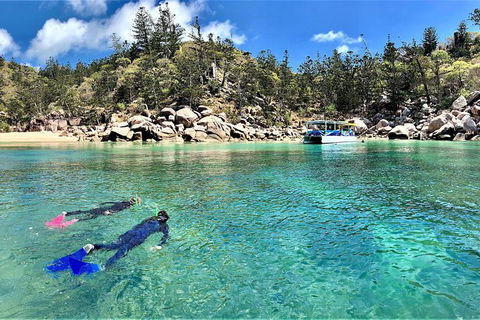 Aquascene Magnetic Island Discovery Tour - St Kilda Accommodation 8