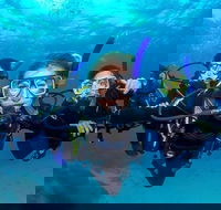 Great Barrier Reef Diving and Snorkeling Cruise from Cairns - St Kilda Accommodation