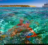 2-Day Green Island Cruise and Kuranda Day Trip - St Kilda Accommodation