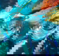 Green Island Day Trip Including Seawalker Helmet Dive COMBO - St Kilda Accommodation