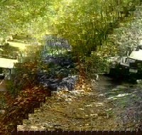 Barron Gorge and Kuranda National Park Half Day Rainforest and Waterfall 4WD Tour from Cairns - St Kilda Accommodation