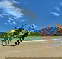 Daintree and Cape Tribulation Tour from Cairns - St Kilda Accommodation