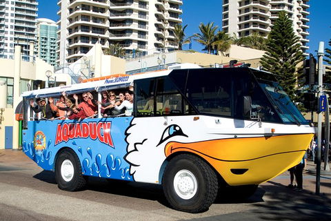Aquaduck Gold Coast 1 Hour City And River Tour - St Kilda Accommodation 5