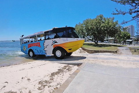 Aquaduck Gold Coast 1 Hour City And River Tour - St Kilda Accommodation 1