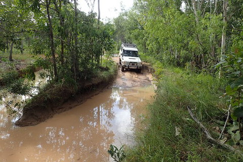 Cairns 4WD Waterfall And Rainforest Tour Including Kuranda Scenic Railway - St Kilda Accommodation 3