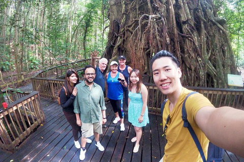 Cairns 4WD Waterfall And Rainforest Tour Including Kuranda Scenic Railway - St Kilda Accommodation 6