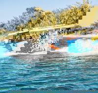 Gold Coast Quack'rDuck Amphibious Tour from Surfers Paradise - St Kilda Accommodation