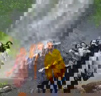 Small Group Tour Max 6 Gold Coast Super 7 Waterfalls Tour Springbrook - St Kilda Accommodation