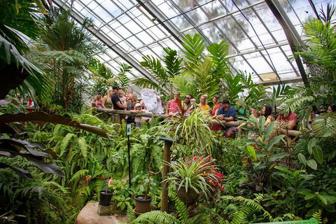 Australian Butterfly Sanctuary - St Kilda Accommodation 4