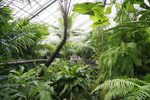Australian Butterfly Sanctuary - St Kilda Accommodation 1