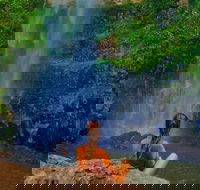 Private Tour - Rainforest  Waterfalls Extravaganza - St Kilda Accommodation