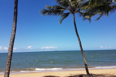 Airport Transfers Between Cairns Airport And Palm Cove - St Kilda Accommodation 8