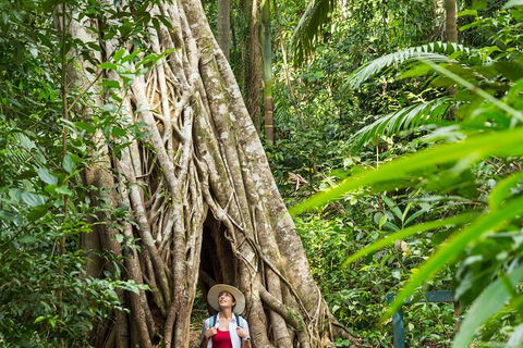 Rainforest To Reef Experience - Reef And Beyond Guided Holidays - St Kilda Accommodation 2