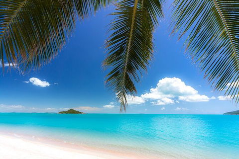 Rainforest To Reef Experience - Reef And Beyond Guided Holidays - St Kilda Accommodation 1