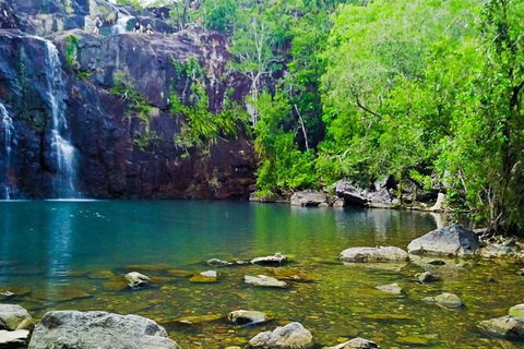 Rainforest To Reef Experience - Reef And Beyond Guided Holidays - St Kilda Accommodation 5