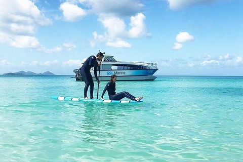 Rainforest To Reef Experience - Reef And Beyond Guided Holidays - St Kilda Accommodation 3