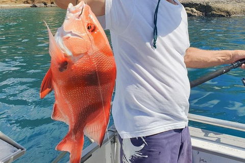 Adventure Fishing Combo Day - Fish, Swim, Whitehaven, Hill Inlet Bush Walking - St Kilda Accommodation 2