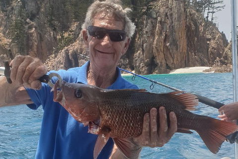 Adventure Fishing Combo Day - Fish, Swim, Whitehaven, Hill Inlet Bush Walking - St Kilda Accommodation 10