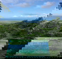 Daintree Luxury Limousine Tour - Full Day - St Kilda Accommodation