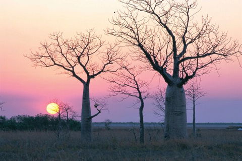 8-Day Outback Experience From Queensland - St Kilda Accommodation 0