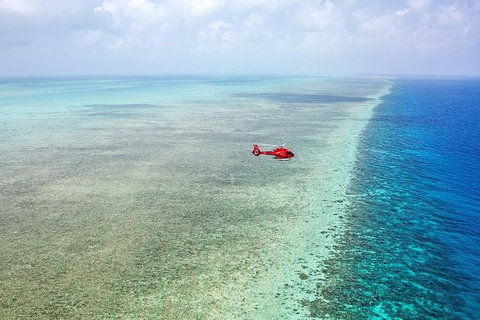 Day Tour To Kuranda, Rainforest And Port Douglas With Flight - St Kilda Accommodation 3