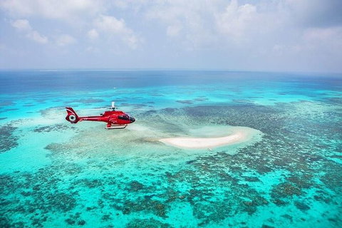 Day Tour To Kuranda, Rainforest And Port Douglas With Flight - St Kilda Accommodation 2