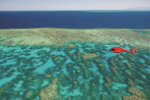 Day Tour To Kuranda, Rainforest And Port Douglas With Flight - St Kilda Accommodation 0