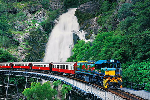 Day Tour To Kuranda, Rainforest And Port Douglas With Flight - St Kilda Accommodation 4
