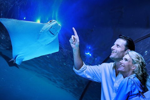 Cairns Aquarium Tour By Twilight With Drink And Appetiser - St Kilda Accommodation 0