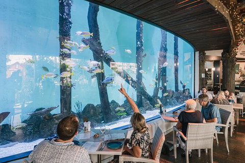 Cairns Aquarium Tour By Twilight With Drink And Appetiser - St Kilda Accommodation 1